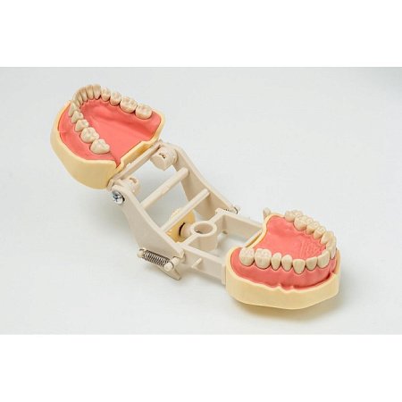 Jingle JG-J1 - фантомная челюсть