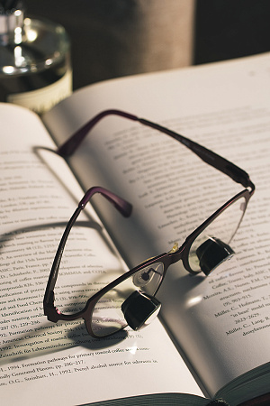 NK Vision TTL x3.3 – Бинокуляры