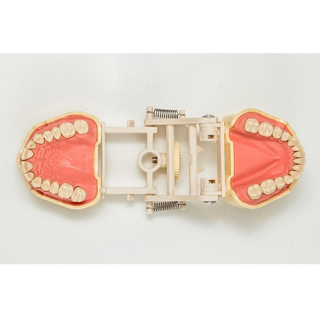 Jingle JG-J1 - фантомная челюсть